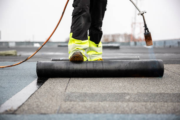 Best Sheet Metal Roofing  in Olympia Fields, IL