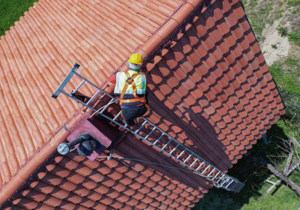 Best Roof Moss and Algae Removal  in Olympia Fields, IL