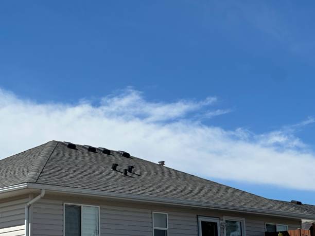 Best 4 Ply Roofing  in Olympia Fields, IL